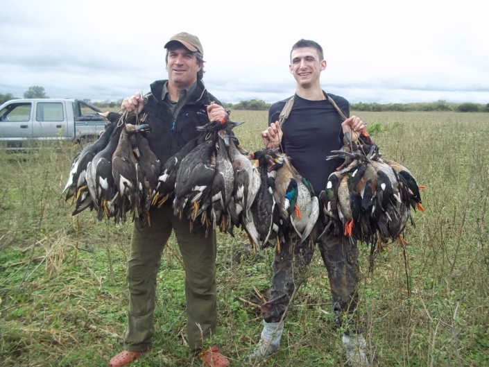 Chasse de canards en Argentine